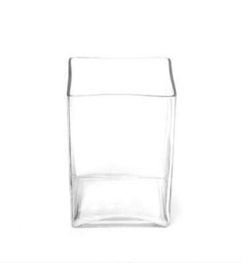 Tall Rectangle Glass Vase