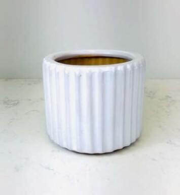 White Ribbed Pot