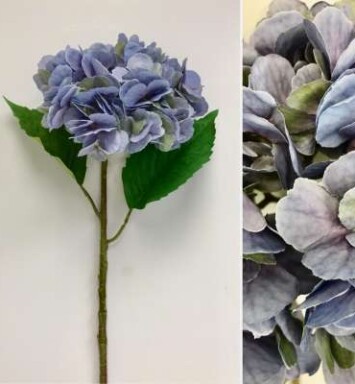 French Blue Hydrangea Stem